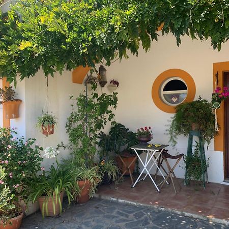 Apartmán A Casa Do Lagar Azeitão Exteriér fotografie