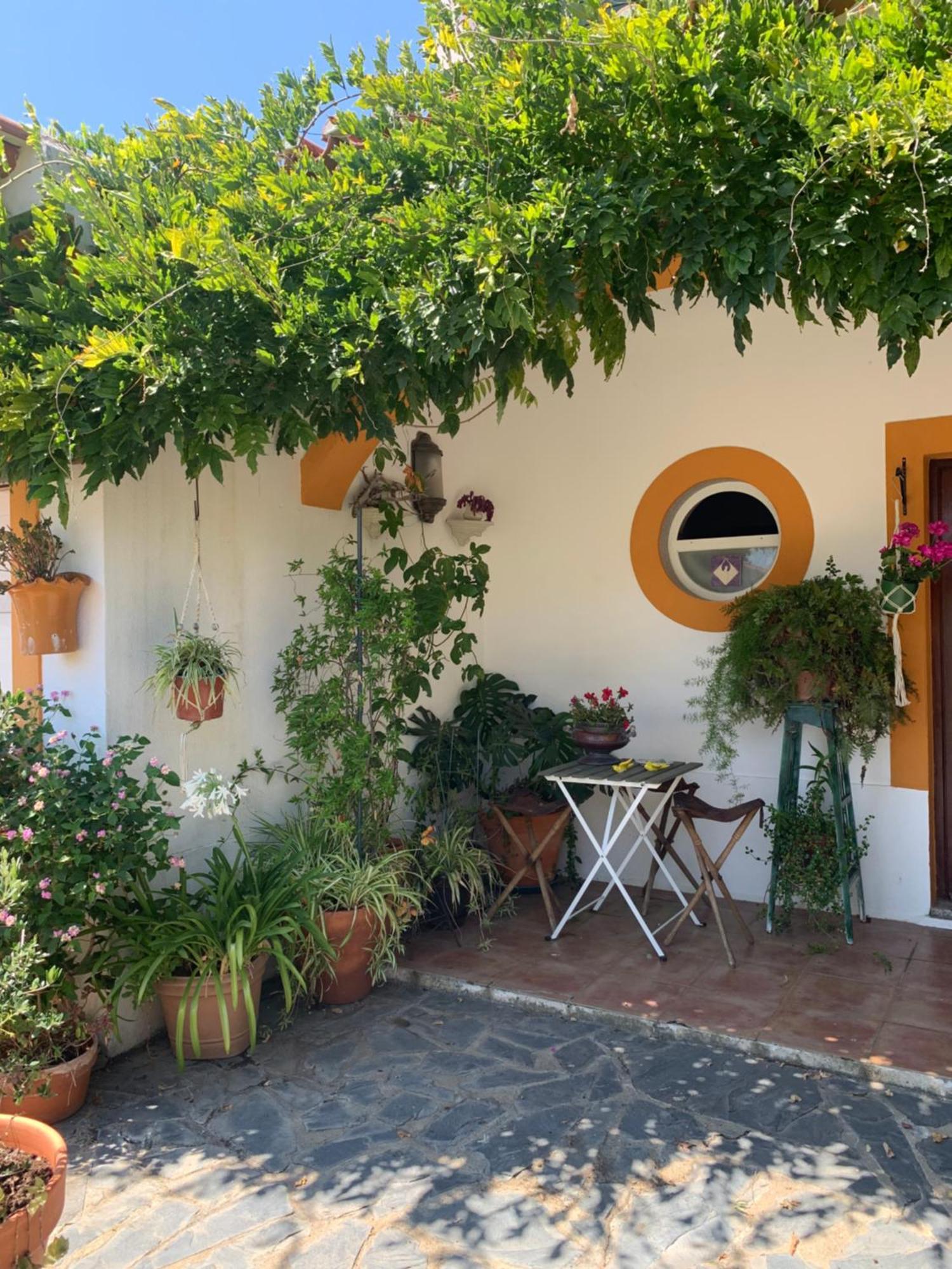 Apartmán A Casa Do Lagar Azeitão Exteriér fotografie